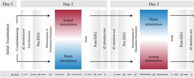 P300 Modulation via Transcranial Alternating Current Stimulation in Adult Attention-Deficit/Hyperactivity Disorder: A Crossover Study